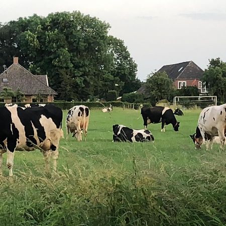 Gaanderen Heerlijk Gaanderhei Bed & Breakfast エクステリア 写真